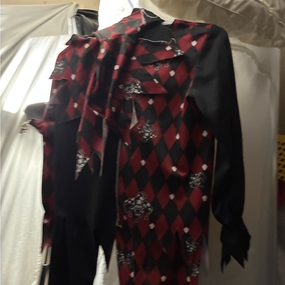 Red and Black Harlequin Costume